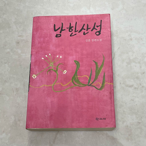남한산성 소설 (김훈 작가) 책