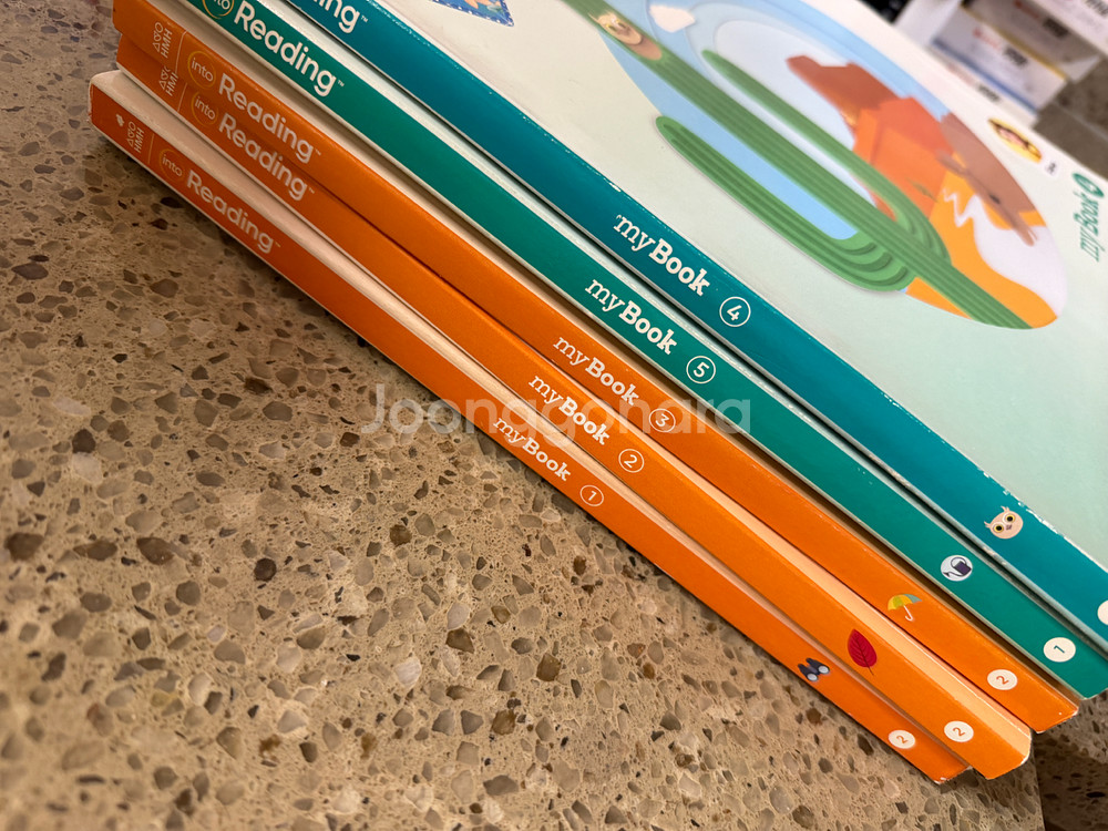 인투리딩 2.4 부터 3.3--0