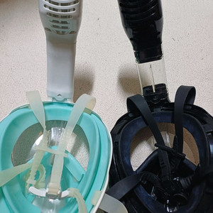 풀페이스 스노클링