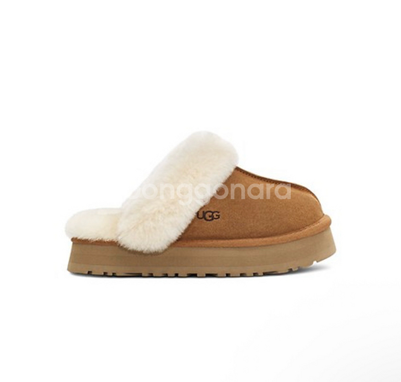 어그 디스케트 체스트넛 us7 미국정품--1