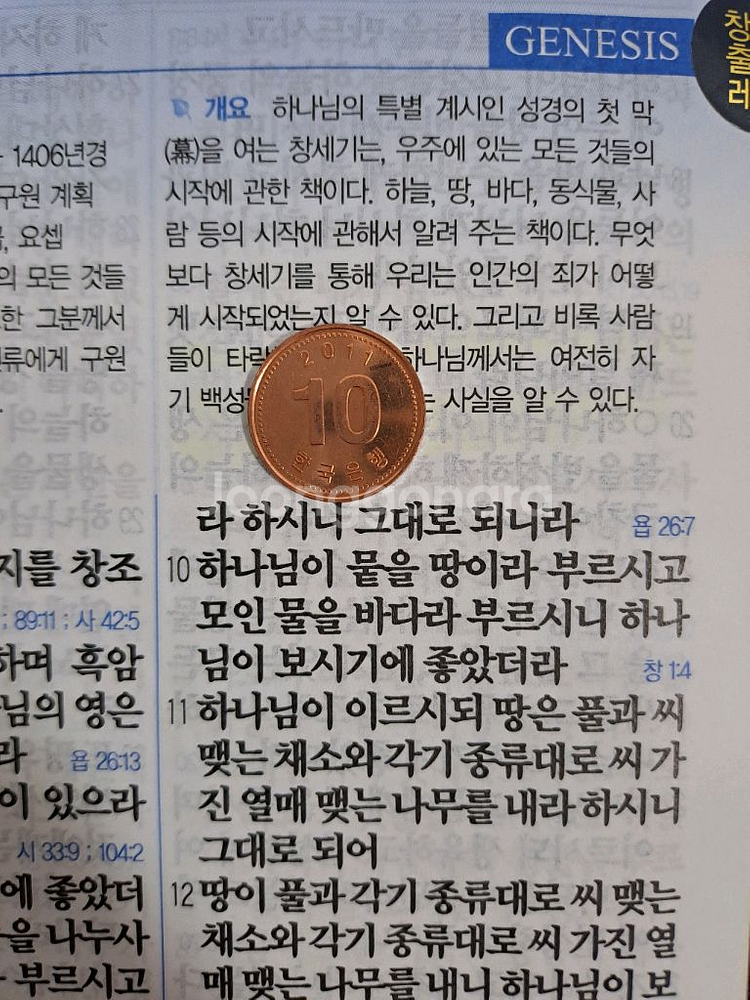 (정품) 핸드메이드 최고급 소가죽 성서원 성경전서 개역개정 큰글자 성경책 바이블 교회 기독교 선물 소장용 한정판--6