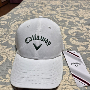 골프 컬러웨이 모자 새제품 택포 27000원