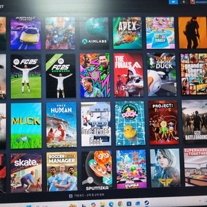 스팀 계정 중고거래 | 중고나라 - 안심되는 중고거래