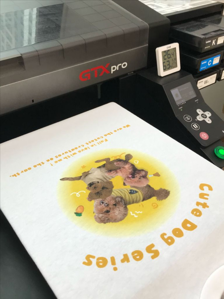 브라더 GTX 423 PRO DTG DTF 프린터 이미지