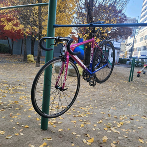 엔진11 볼텍스 픽시 자전거