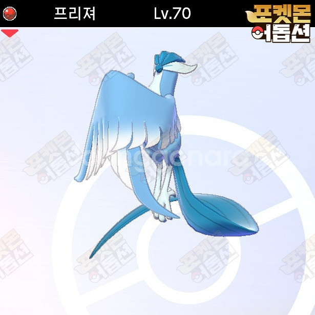 이로치 가라르 프리져 / 포켓몬스터 / 닌텐도 스위치 | 중고나라 - 안심되는 중고거래