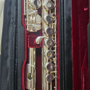 쥬피터 611 헤드실버