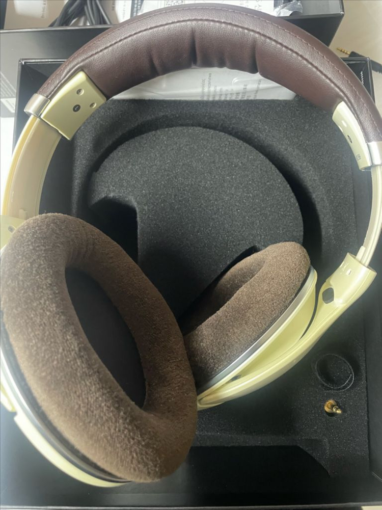 HD599--1
