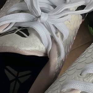 코비6 레플리카