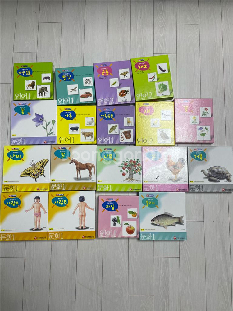 몬테소리 언어 문화영역 카드--0