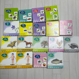 몬테소리 언어 문화영역 카드