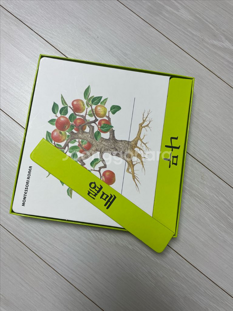 몬테소리 언어 문화영역 카드--1