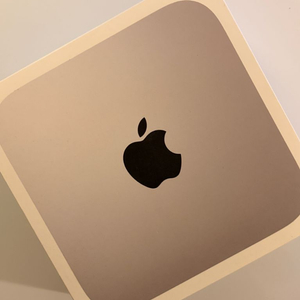 맥미니 M1 16GB RAM / 256GB