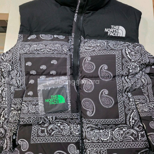 노스페이스 x 케이스스터디 콜라보 패딩 베스트