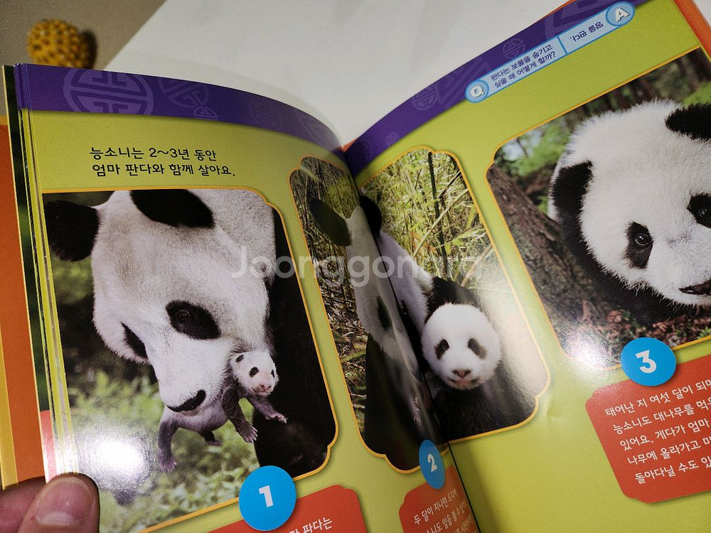 유아 아동 도서 2권 일괄판매 1. 100 DOGS (영문 원서)2. 내셔널 지오그래픽 키즈-판다 편--4