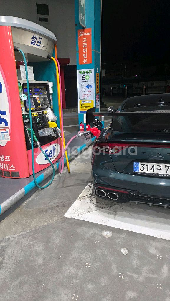 다이몬 스팅어 스완넥 커스터--3