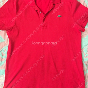 라코스테 폴로 카라티셔츠 이미지