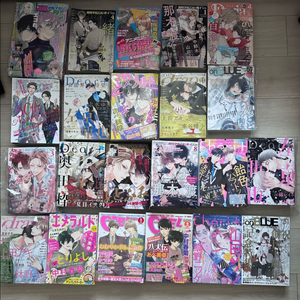 비엘 만화 잡지