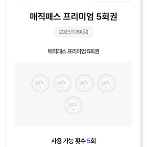 11.30(일) 롯데월드 매직패스 5/7회권