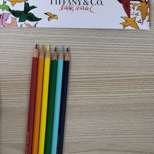 정품) 티파니 색연필 세트