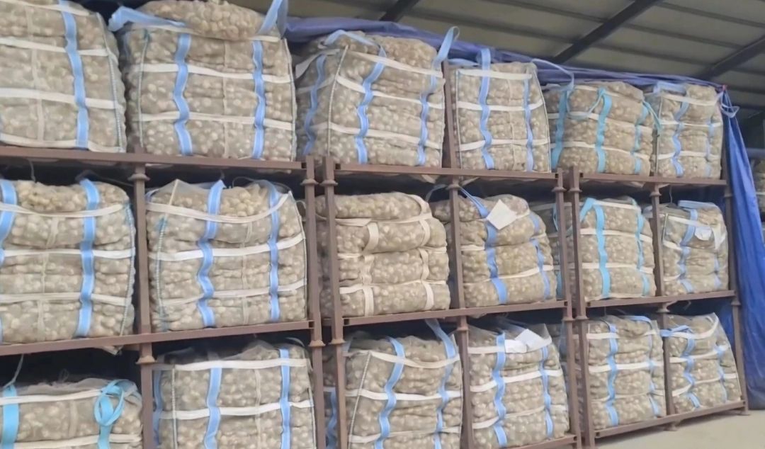 산업용 스테인리스 스틸 선반 스태킹랙 인테이너 양파 마늘 다단적재--1