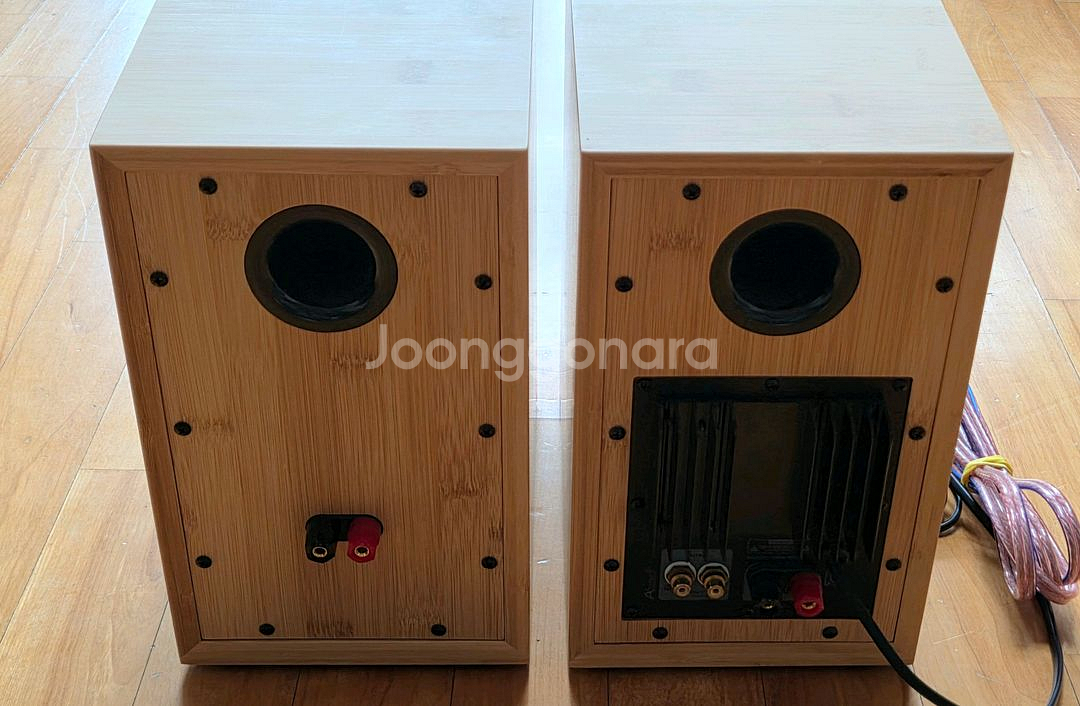 에이원 A1 오디오 오로라1 액티브 스피커--3