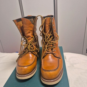 레드윙 골드러셋 9877 275사이즈 판매합니다.