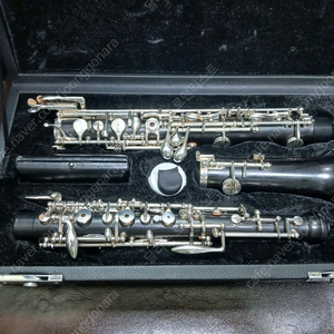 오보에 대여/ 초보자용 W 완성리드 팝니다