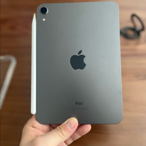 아이패드 미니6 256+애플팬슬2세대+각종케이스