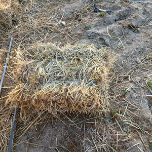 사각 볏짚 판매ㅡ가격은 상담