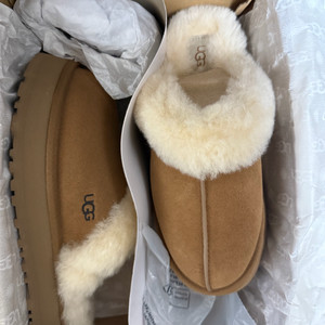 어그 디스케트 체스트넛 us7 미국정품