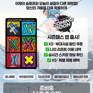 X5 시즌권 (미등록)성인 양도 합니다.