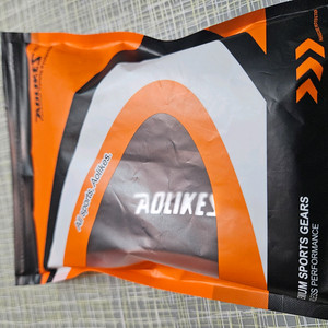 아오리케스 스포츠 밴드