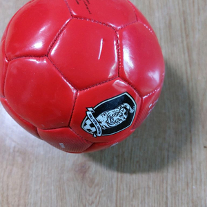 빨간색 축구공