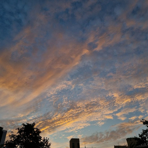 네이버 멤버십 1년 한분 구해요