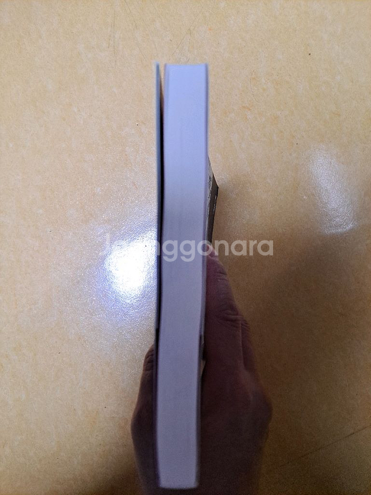 장엄하고 아름다운 처절한 사랑 책--3