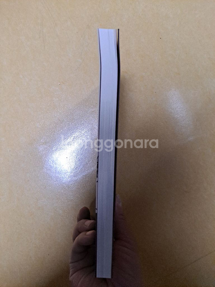 장엄하고 아름다운 처절한 사랑 책--4