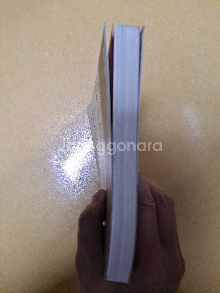 장엄하고 아름다운 처절한 사랑 책--5