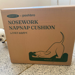노즈워크 눕눕방석(푸우형방석)