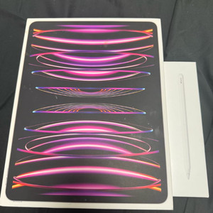 아이패드 프로 12.9 M2 6세대 256GB 셀룰러