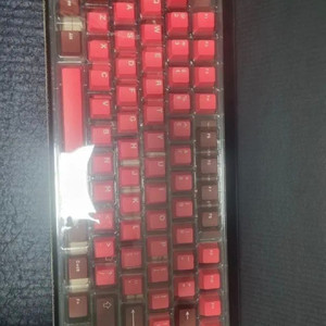 아이페이 레드벨벳 키캡 (크렌베리) 미사용