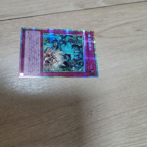 유희왕카드 도미나스 스파이럴 프리즈마틱시크릿레어 팝니다