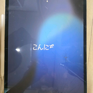 아이패드 12.9인치