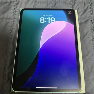 아이패드 프로 11 M4 256GB 실버