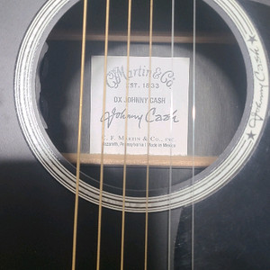 마틴 DX 존니케쉬 일렉기타