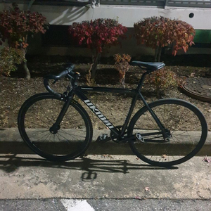 벨로라인 템테이션 픽시자전거 반차