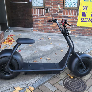 할리전동스쿠터팝니다. 부산