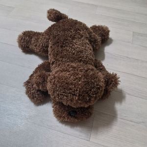 푸들 강아지 인형