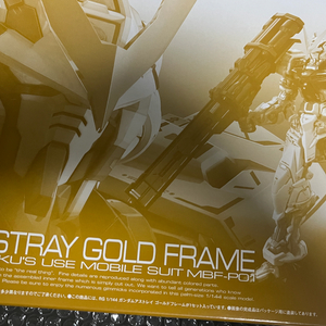 rg 아스트레이 골드프레임 새제품