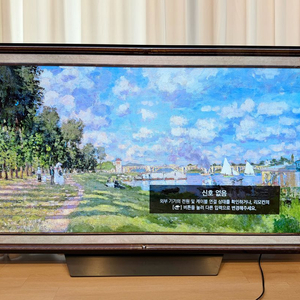 LG 엘지티비 OLED TV 65인치 서비스센터 패널교체